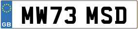 Truck License Plate